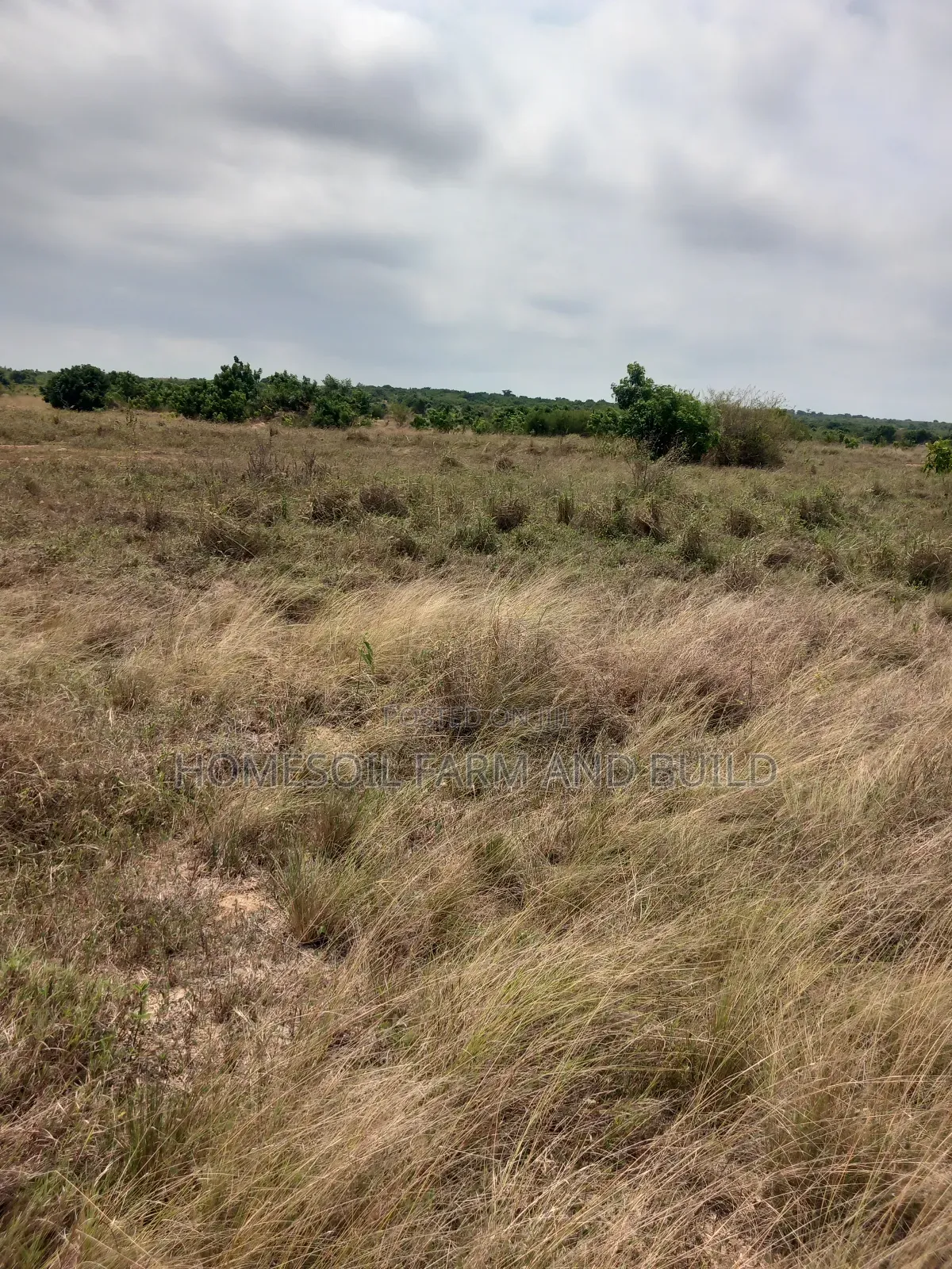 8 Plots of Beautiful, Flat Terrain Land With Wide, Open View