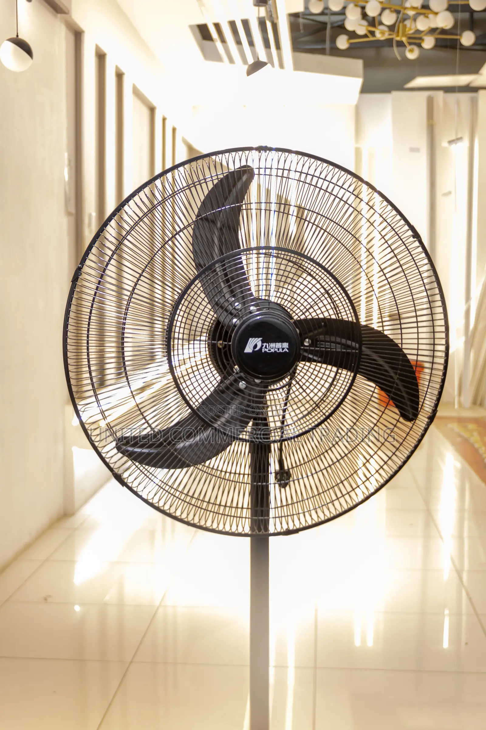 Standing Fan