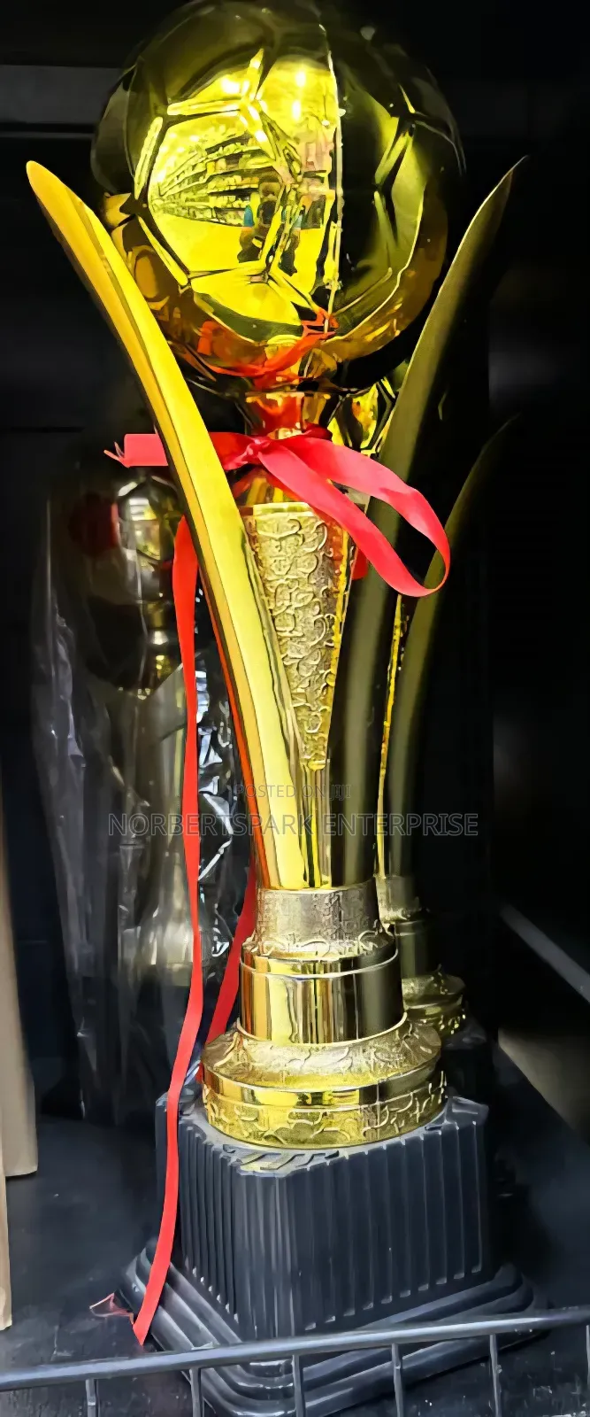 Trophy/Award(Tpy)