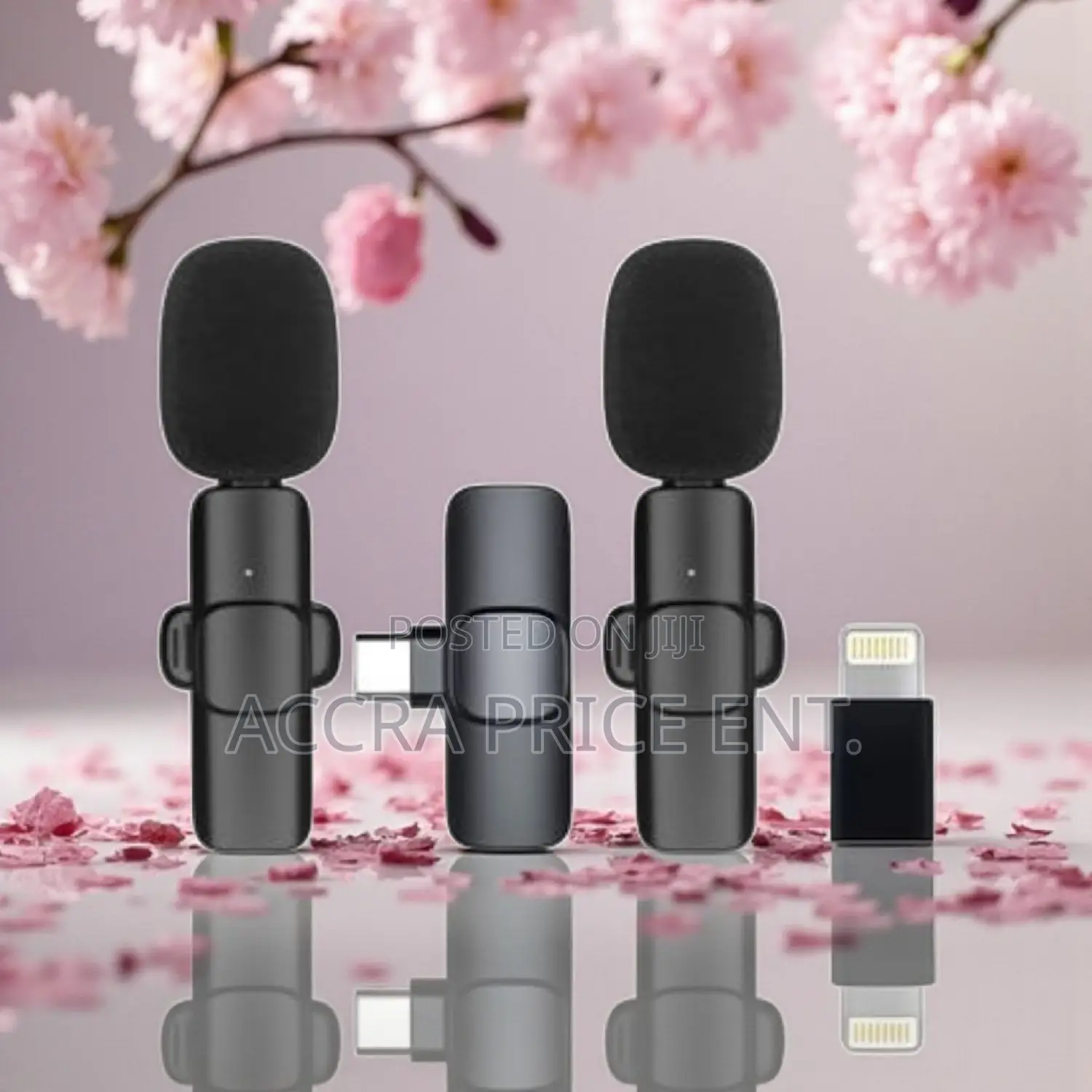 Original Wireless 2 in 1 Microphone (32166)
