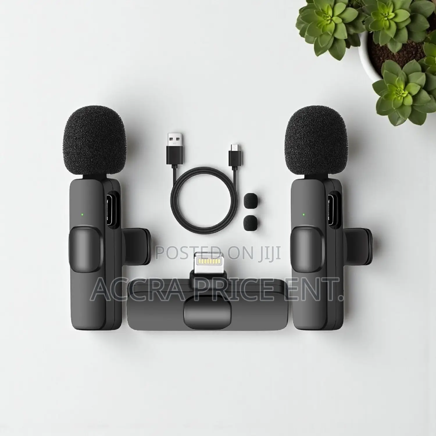 Generic 2 in 1 Wireless Microphone (35434)
