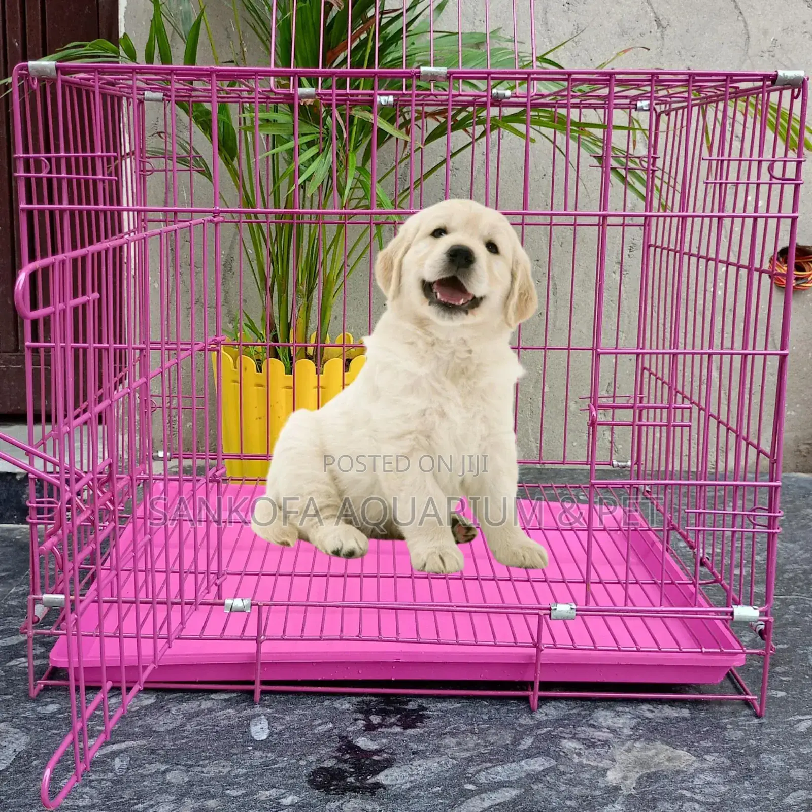 Strong Metallic Dog Cage for Puddles Maltese