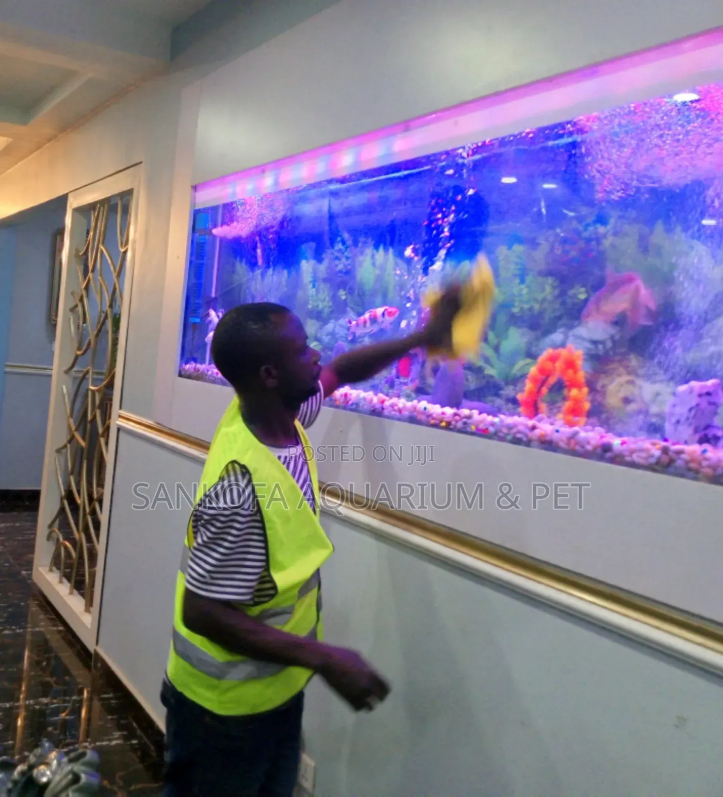 Aquarium Cleaning Servicing