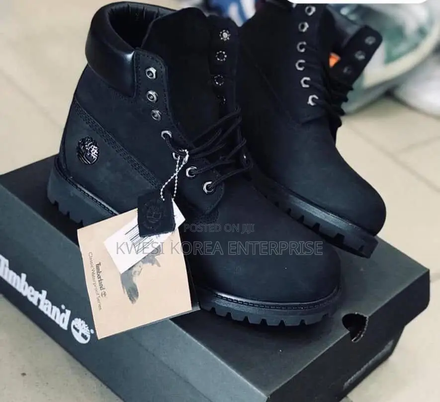 Timberland Sneaker With Box