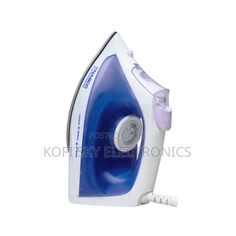 Nasco Steam Iron