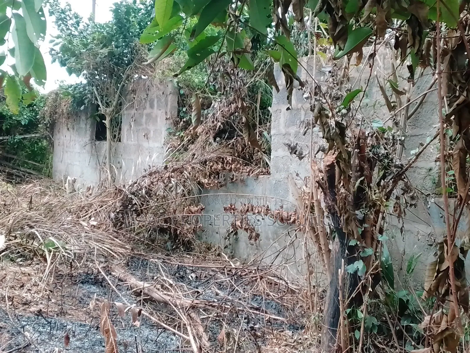 Plot of Land Fr Sale