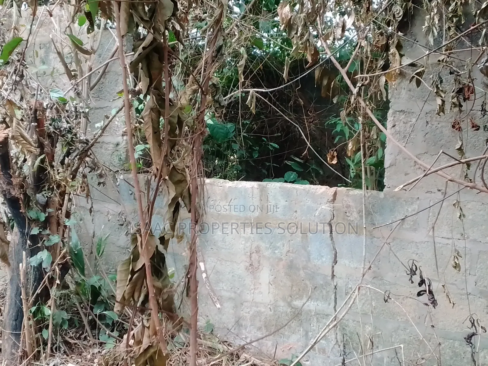 Plot of Land Fr Sale