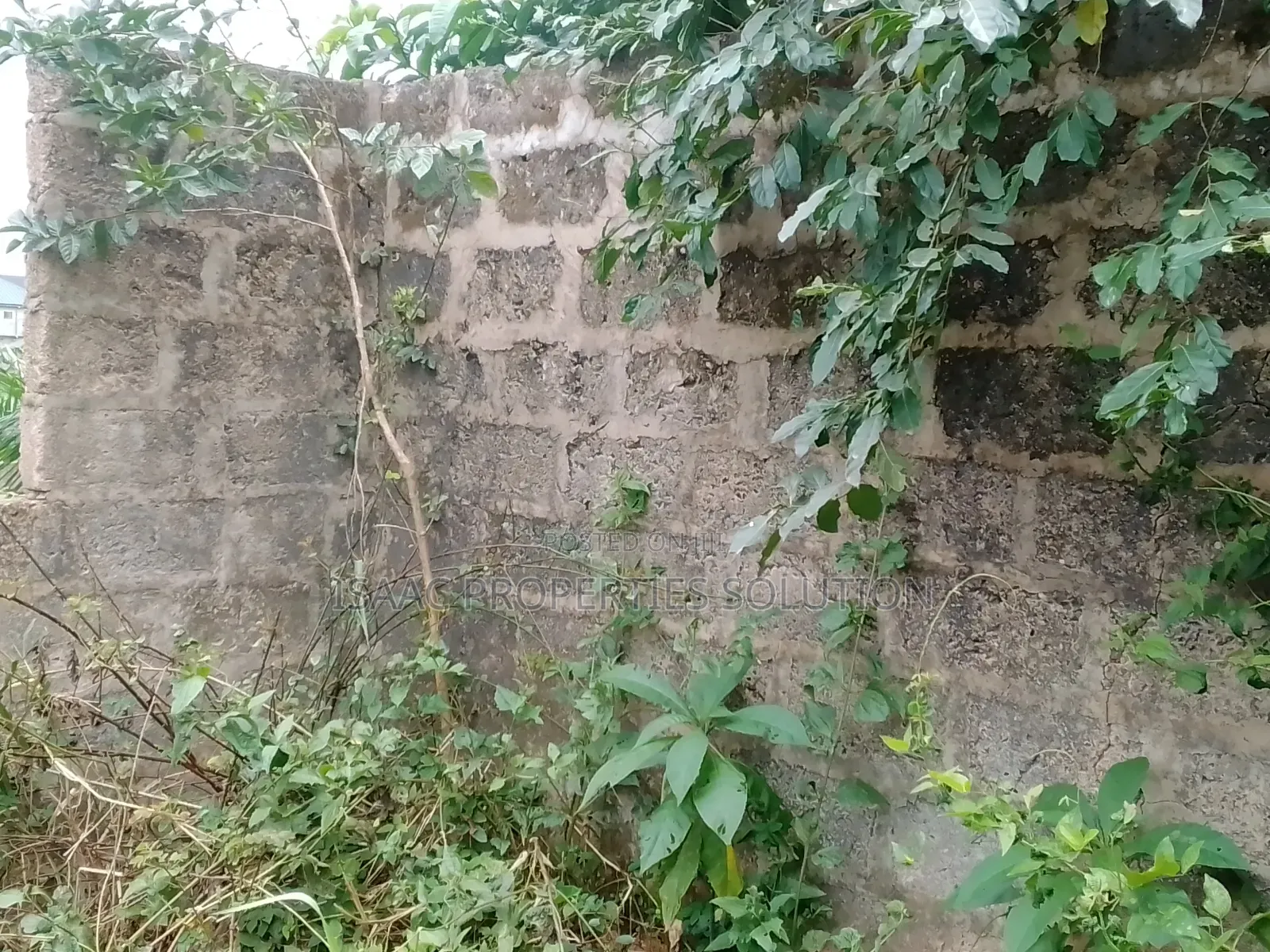 Plot of Land Fr Sale