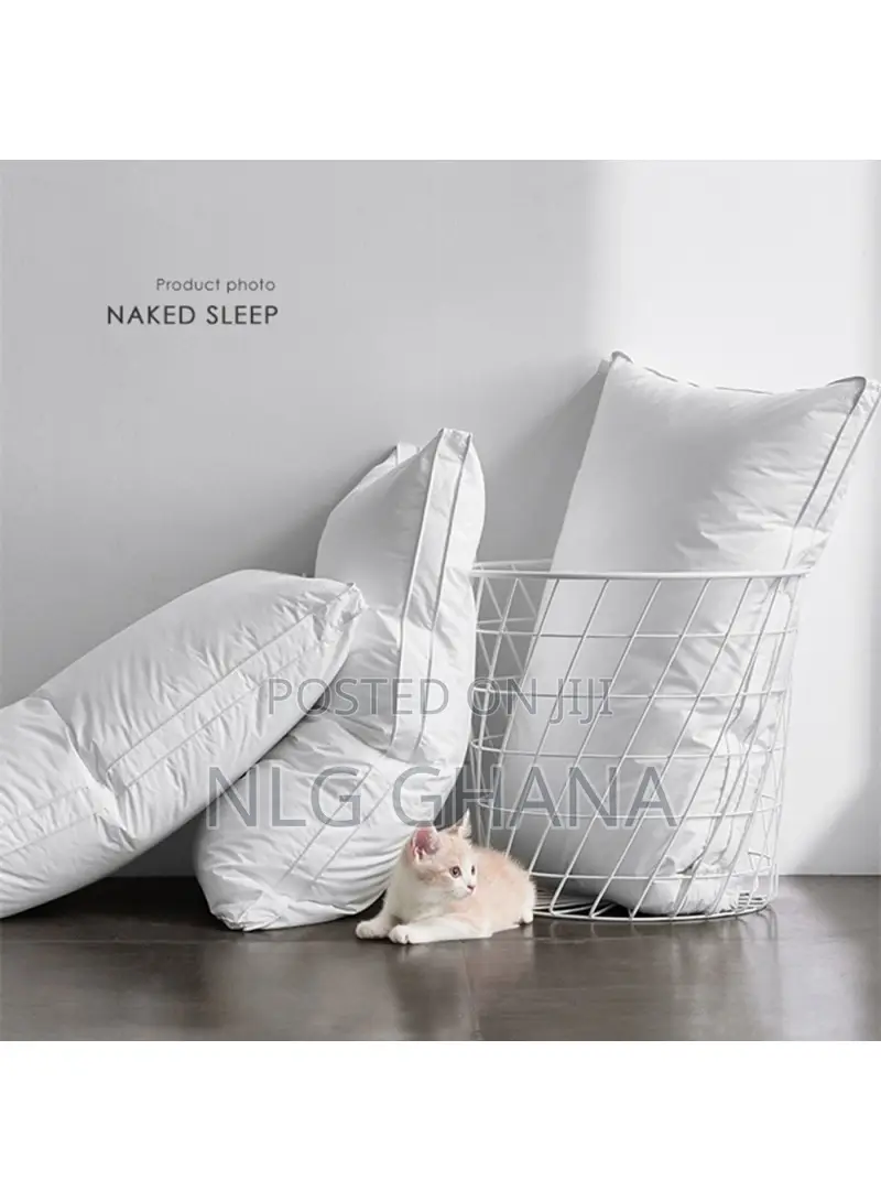 Throw Pillow Insert Pure Cotton Cover Medium Pillow. Tvx28622