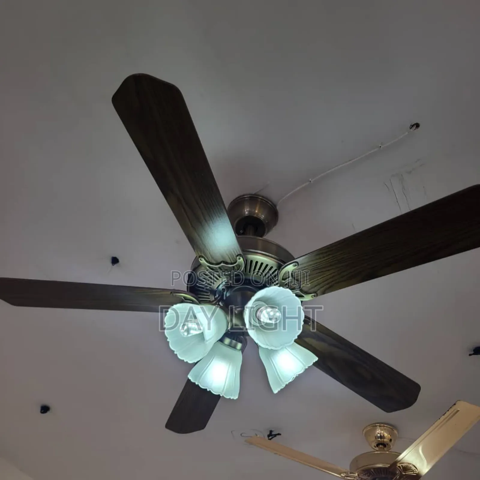 Luxurious Daylight Fan With Light.