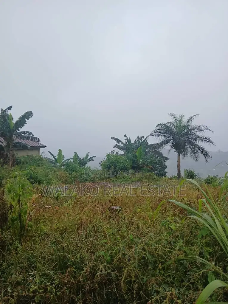 2 and Half Plot of Land