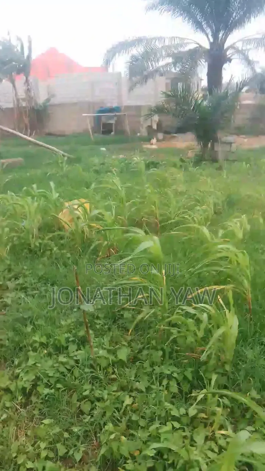 Cool and Affordable Half Plot Land at Great Location Olebu Vicolis