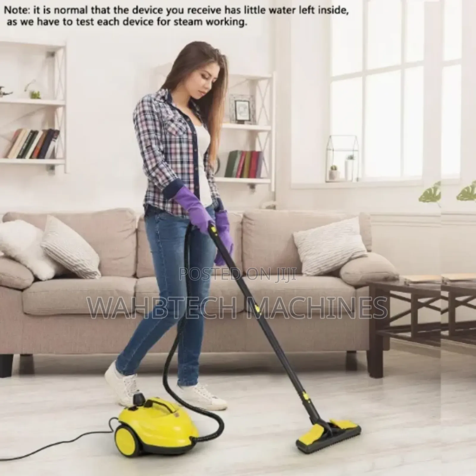 Steam Cleaner