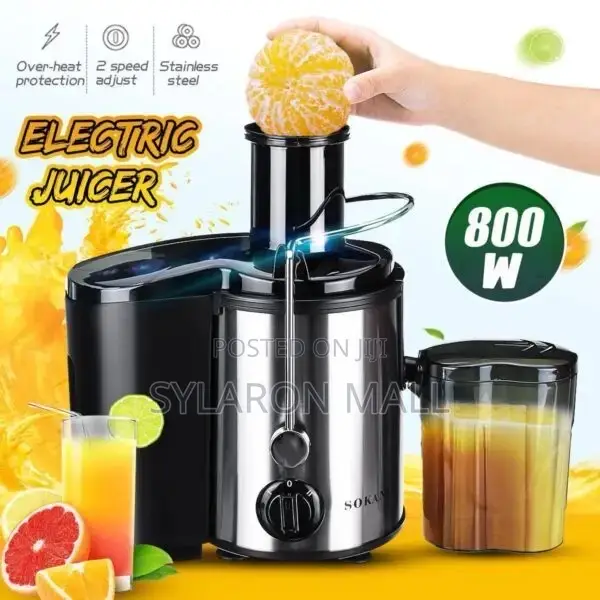 Electric Fruit Juicer