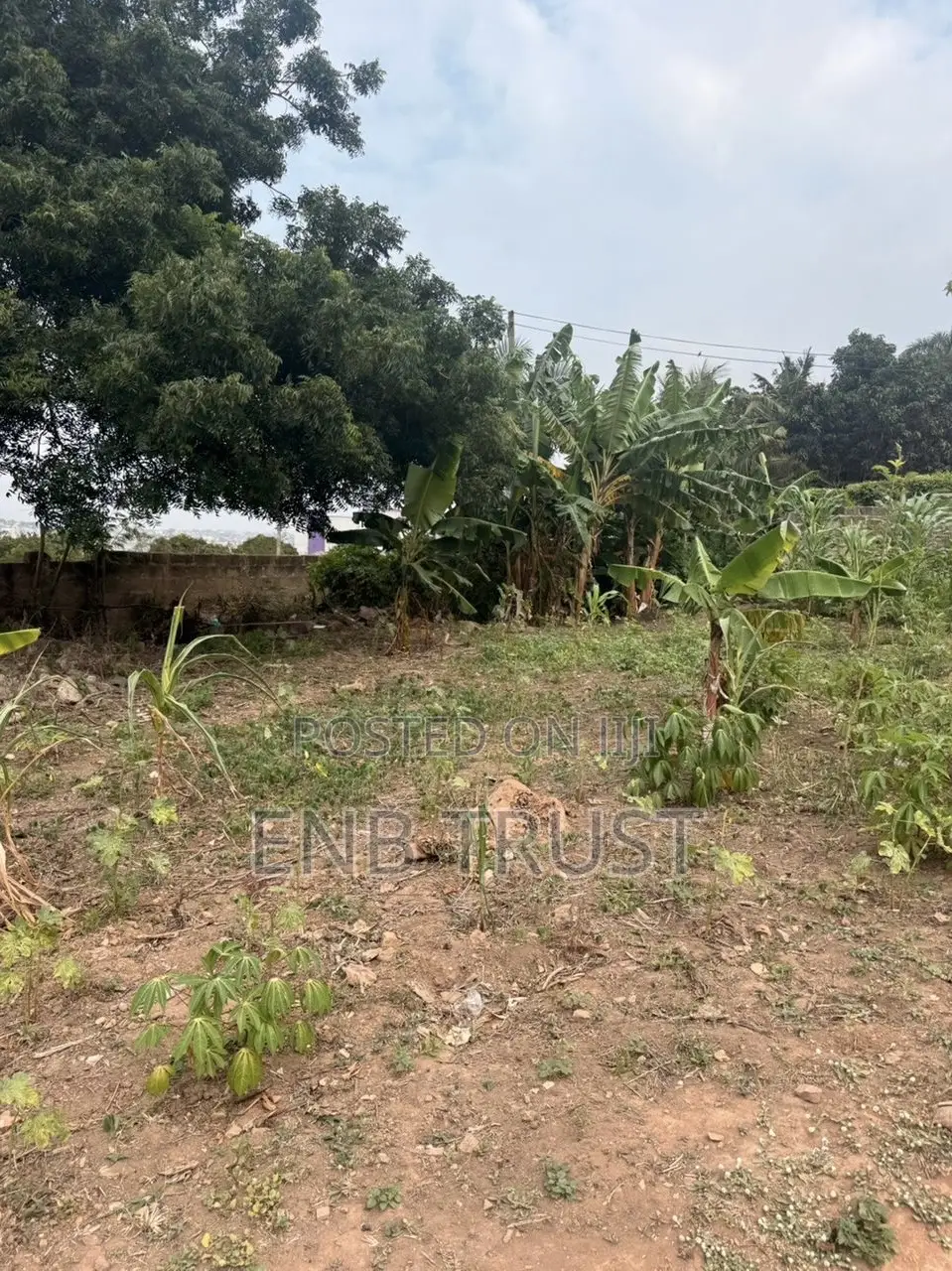 20 Plots of Land for Sale at McCarthy Hills Roadside