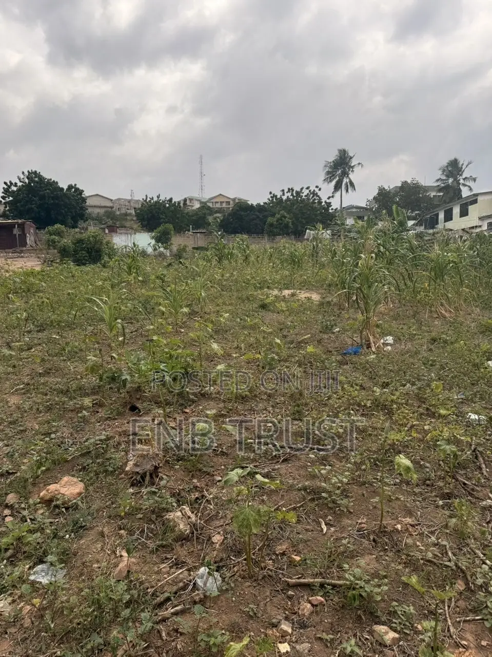 20 Plots of Land for Sale at McCarthy Hills Roadside