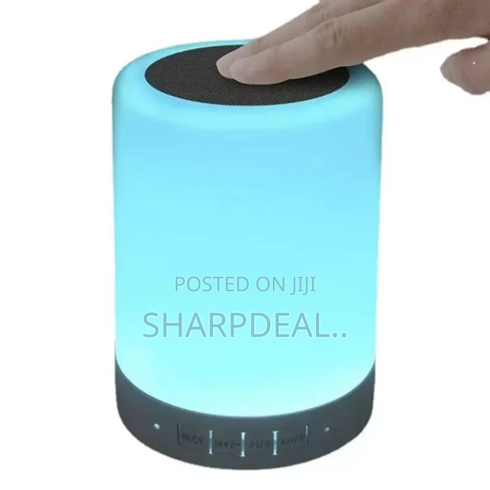 Wireless Bluetooth Speaker With Fm Radio