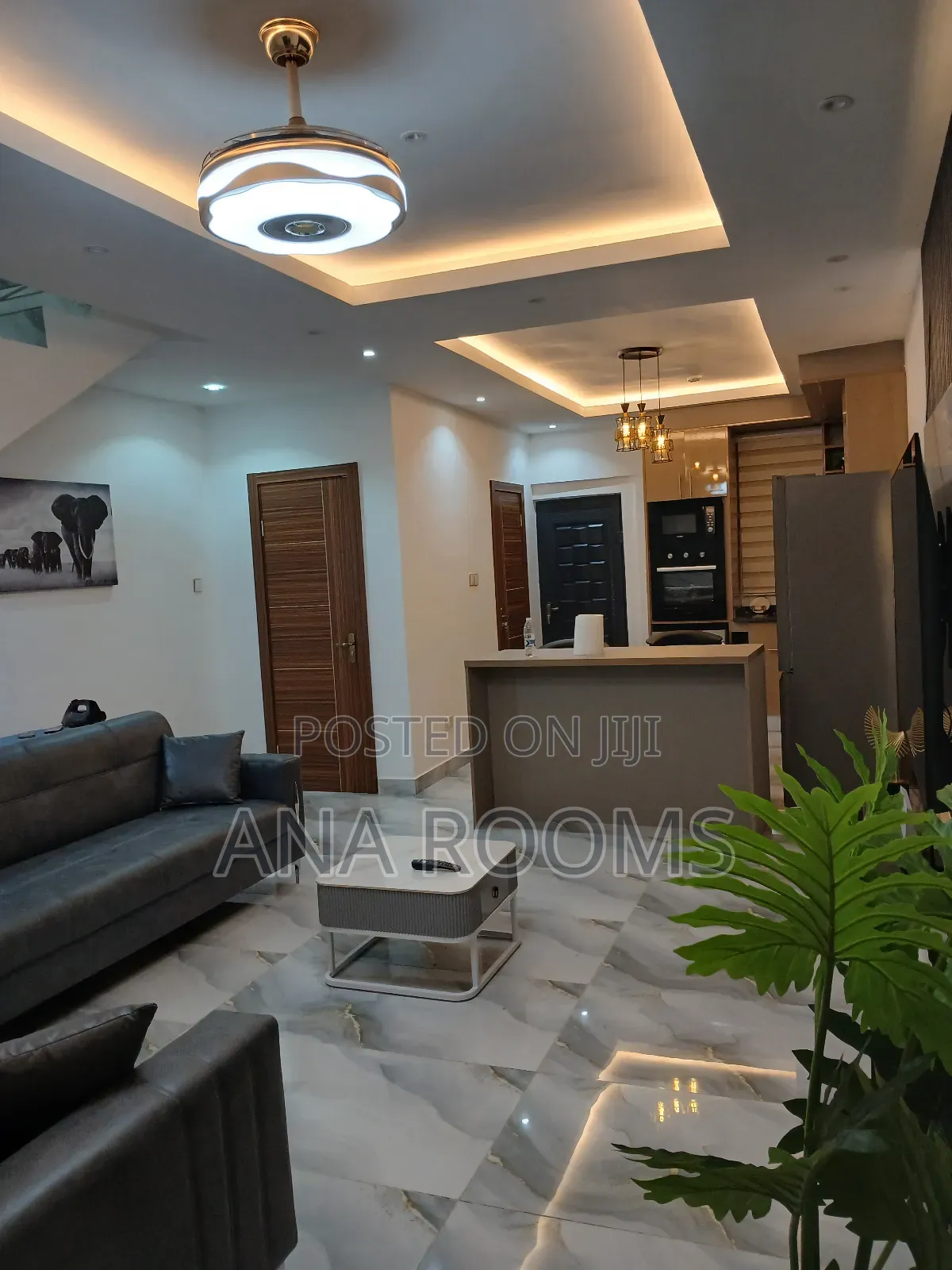Furnished 2bdrm Duplex in Ana Rooms, Adjiriganor for rent