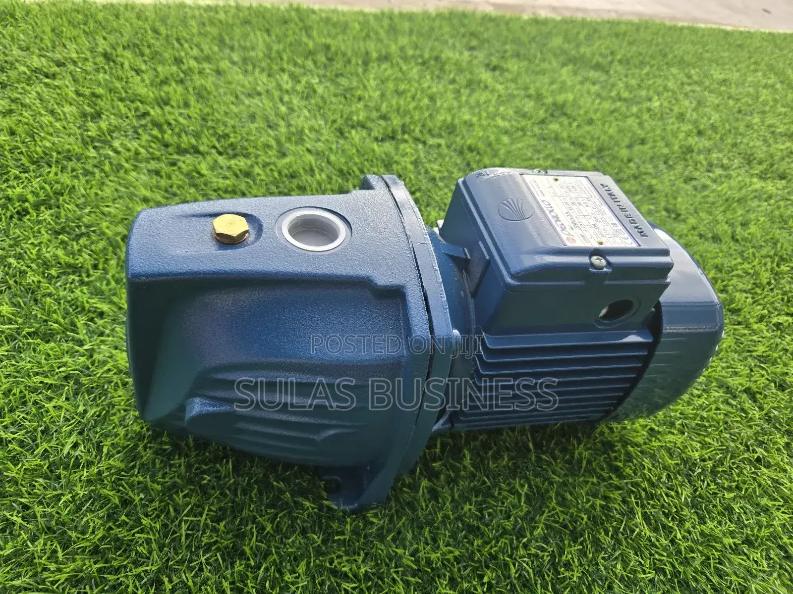 Pedrollo 1.0 Hp Castbody