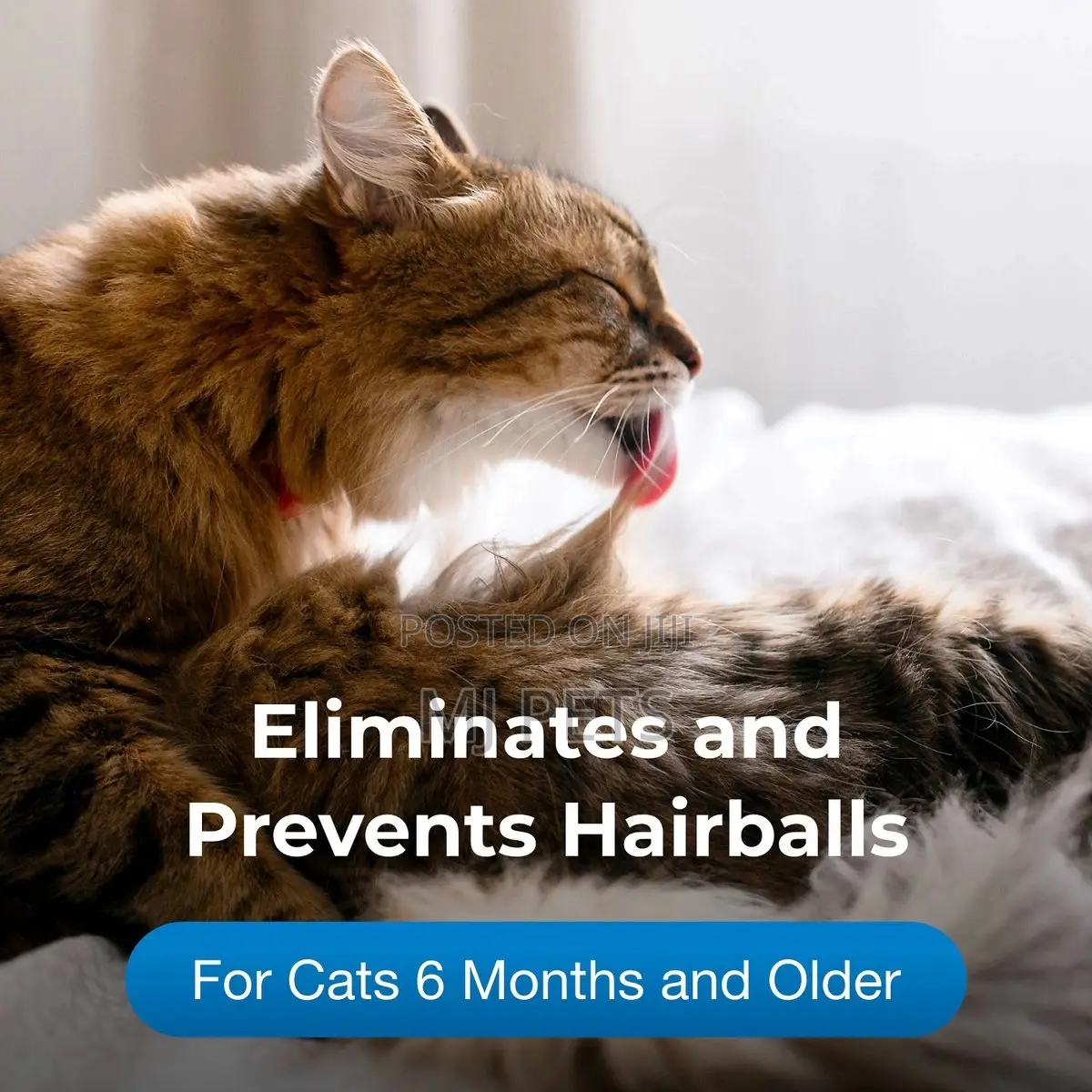 Hairball Natural Solution Gel