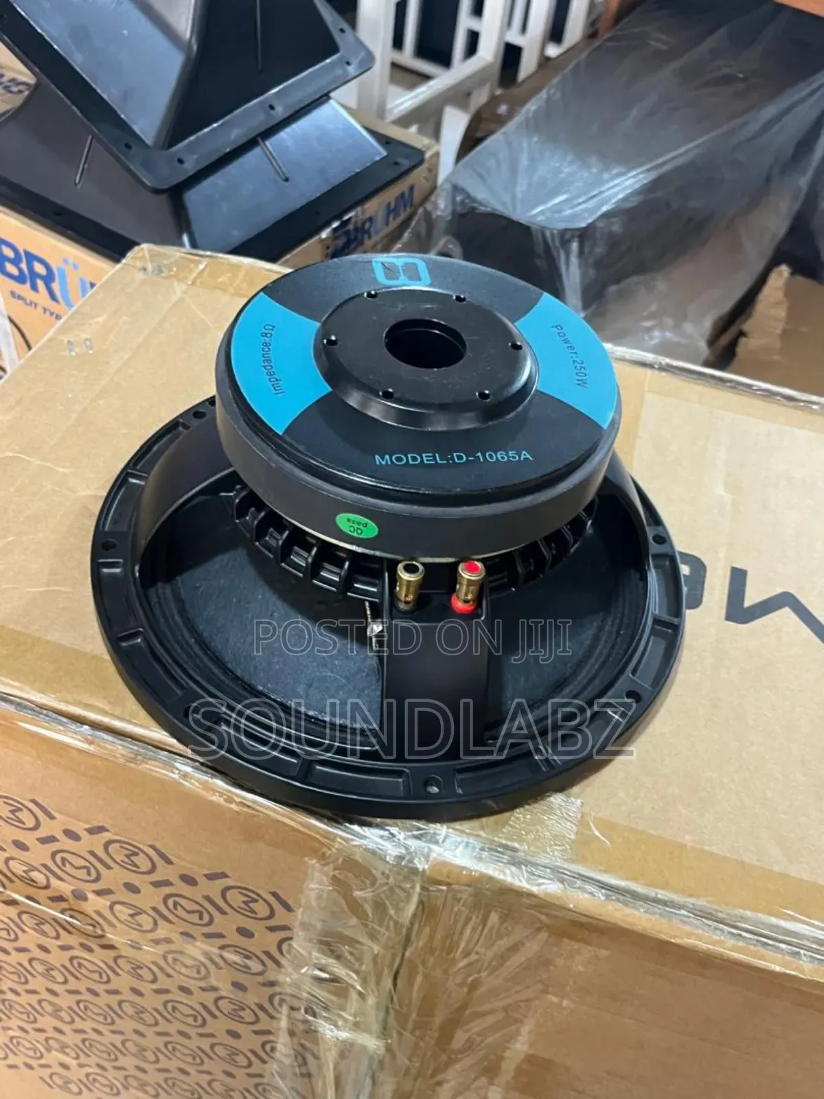 10inches Line Array Double Magnet Naked Speaker (250w)