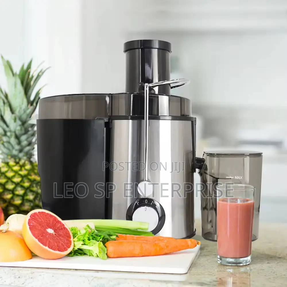 Fruit Juicer for Sale