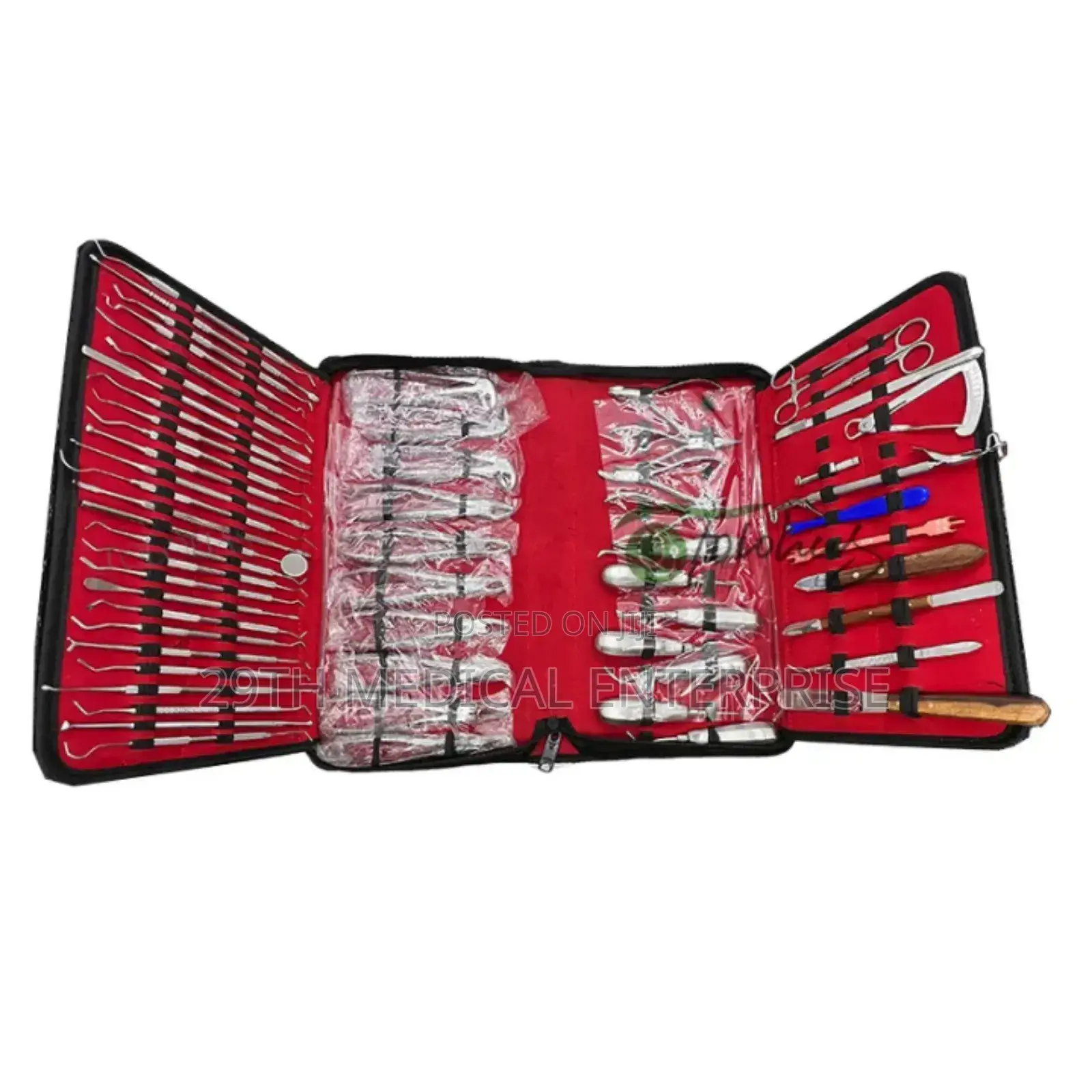 Dental Instrument Set (Denture Tool Set)