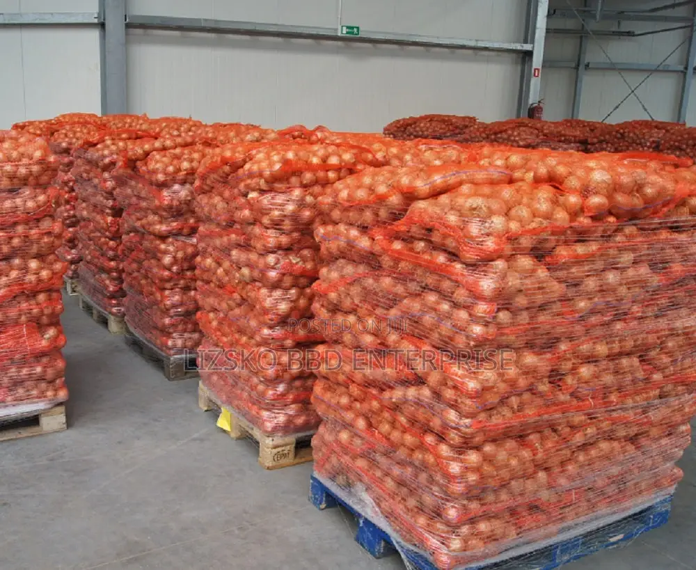 Fresh Organic Onions Available for Export Bulk Purchase
