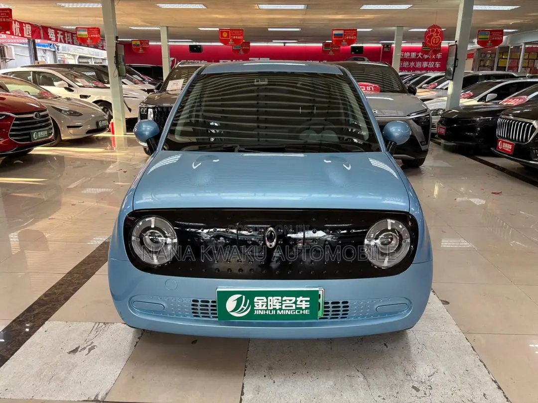 Great Wall King Kong Poer 2022 Blue