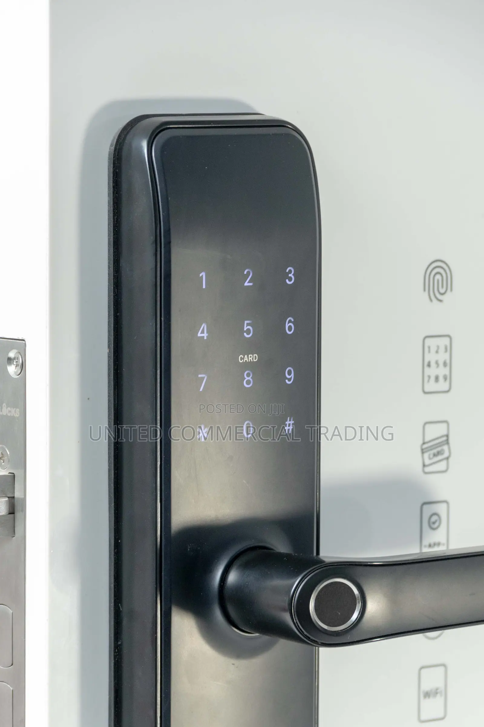 Smart Door Lock (Black)