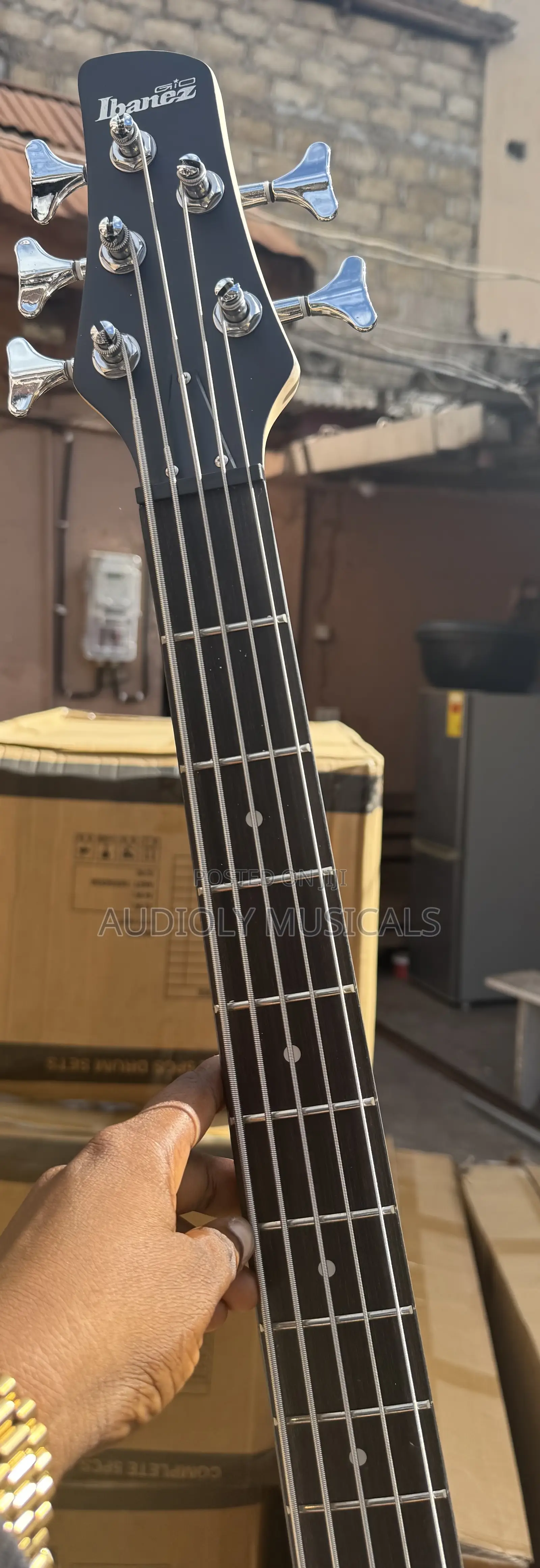 Passive Bass Guitar Ibanez