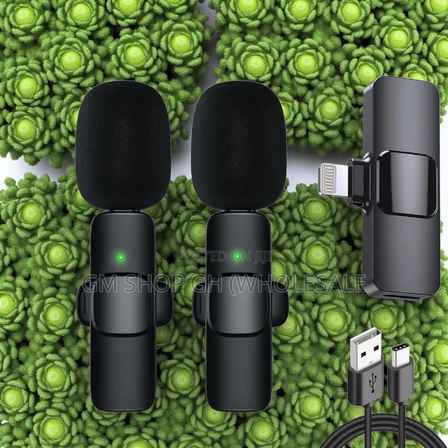 Wireless Microphone 2 in 1 Microphone (44000)