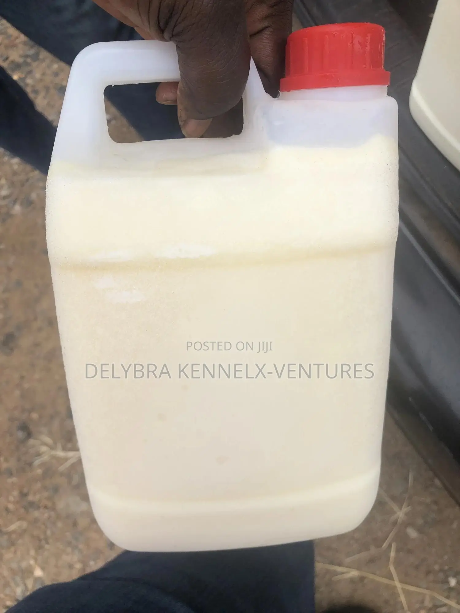 Ice Cream Milk (Gelato)