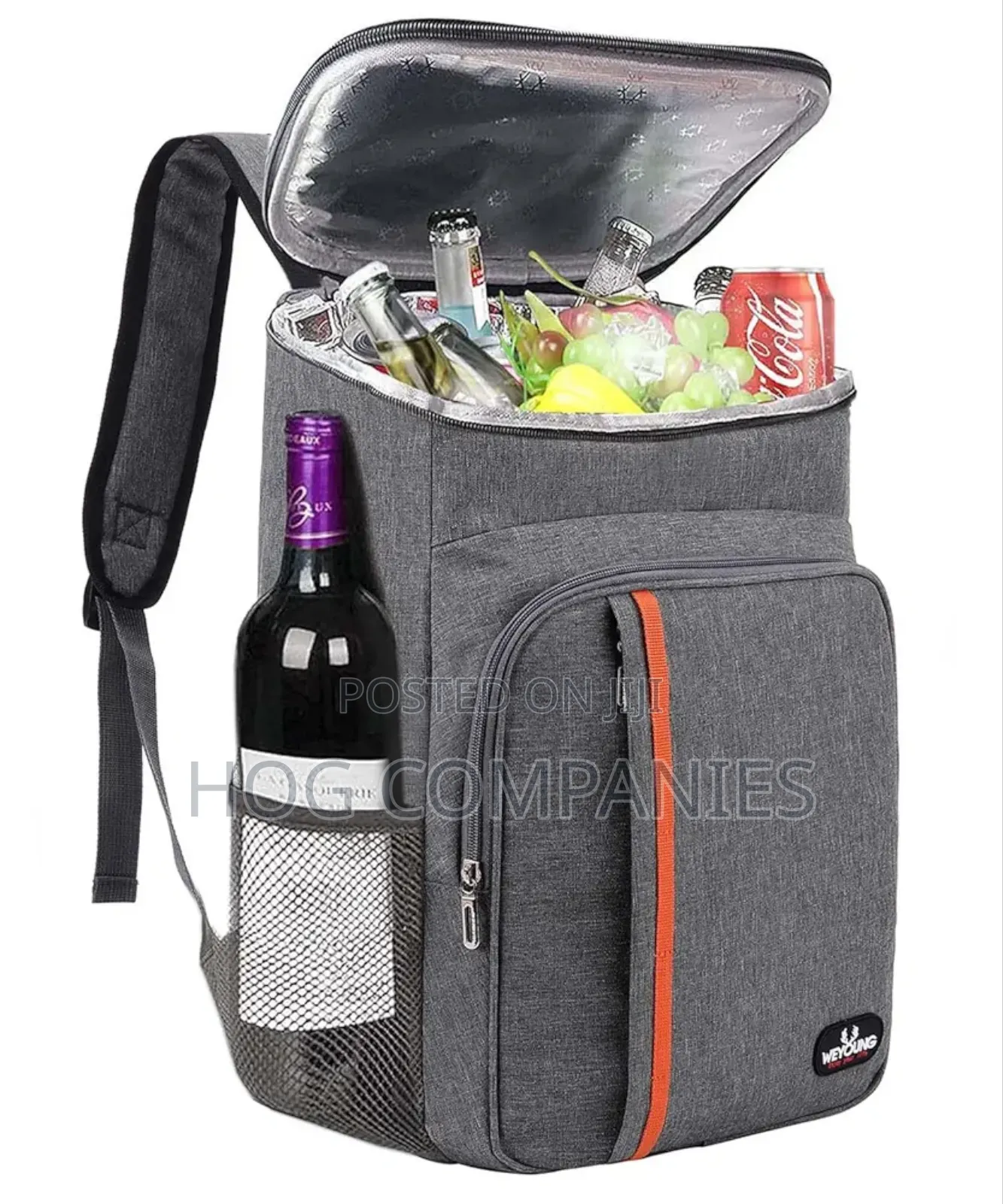 Insulated Cooler Backpack Leakproof Lunch Bag in Accra -Fast Delivery