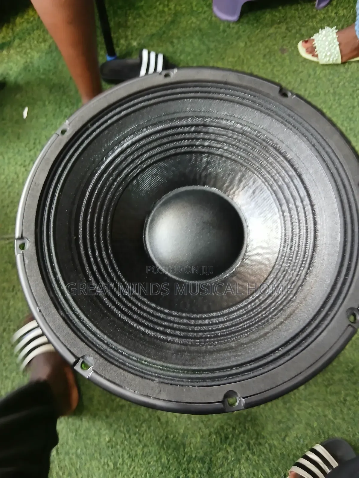 A Pair of RCF 12 Inches Naked Speakers