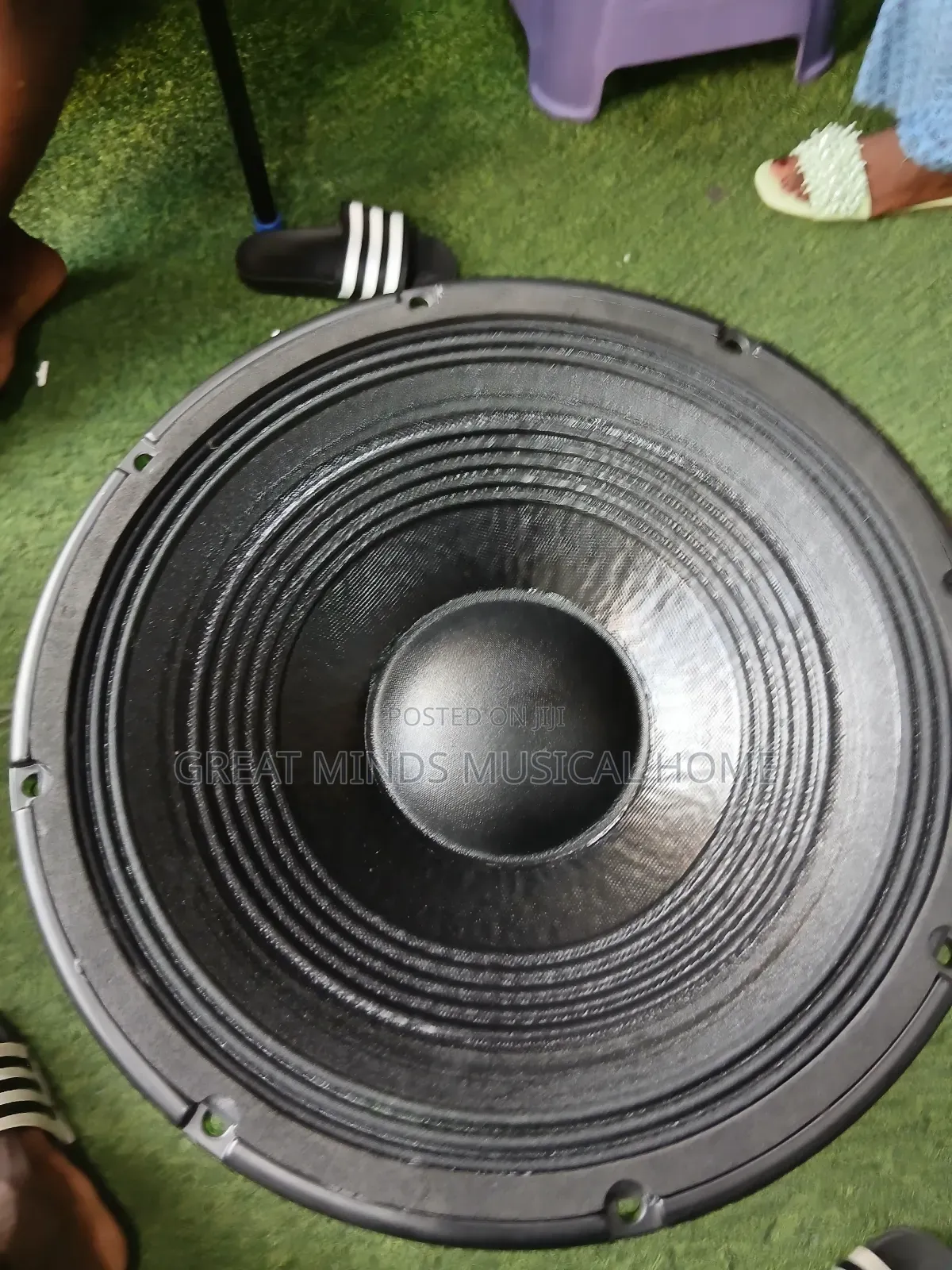 A Pair of RCF 12 Inches Naked Speakers