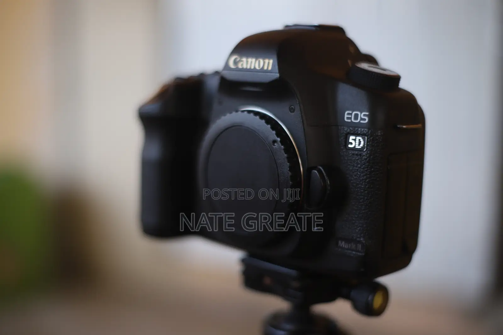 Canon 5d Mark 2