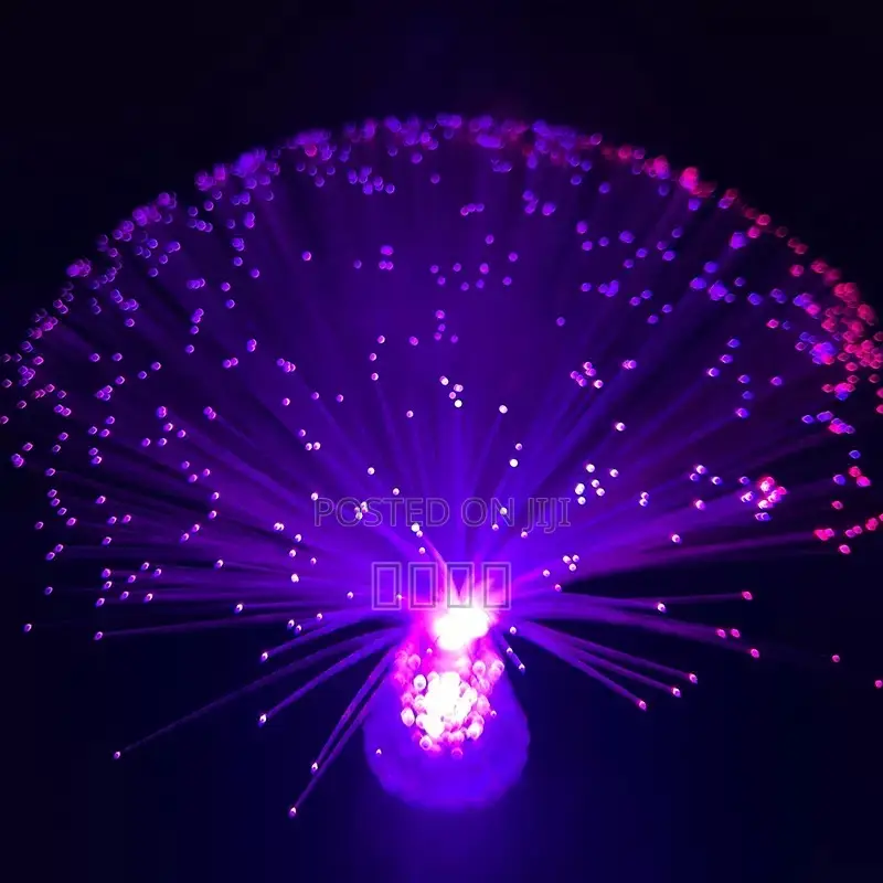 Bedside Lamp Fiber Optic Lights Desk Lamp Christmas Gifts