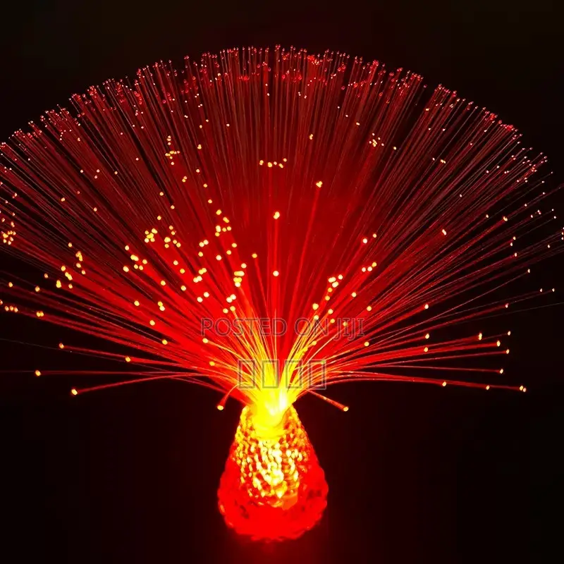 Bedside Lamp Fiber Optic Lights Desk Lamp Christmas Gifts