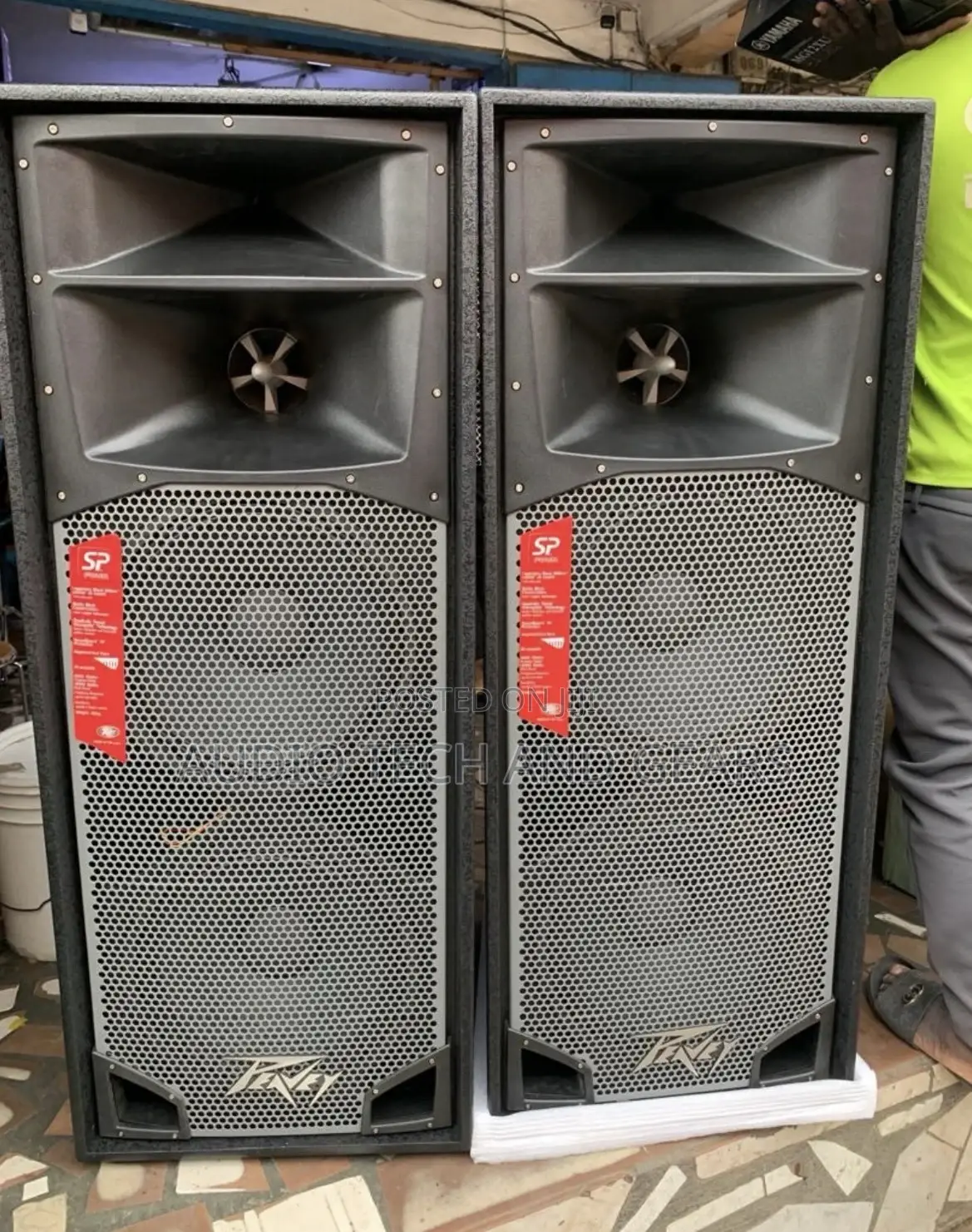 Peavey Sp 4 15” Full Range Speakers