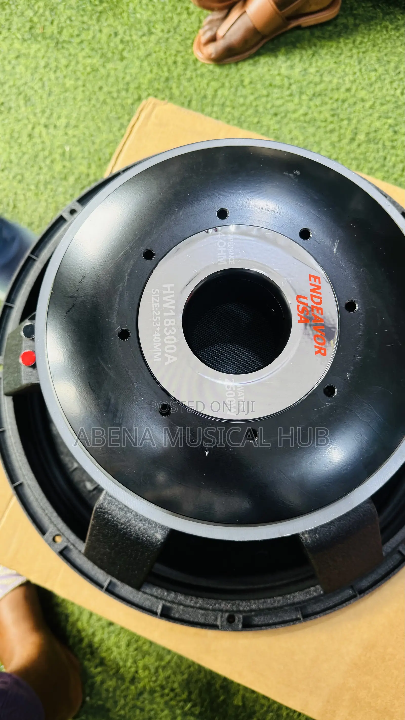 V-C 18 Inches Naked Speaker