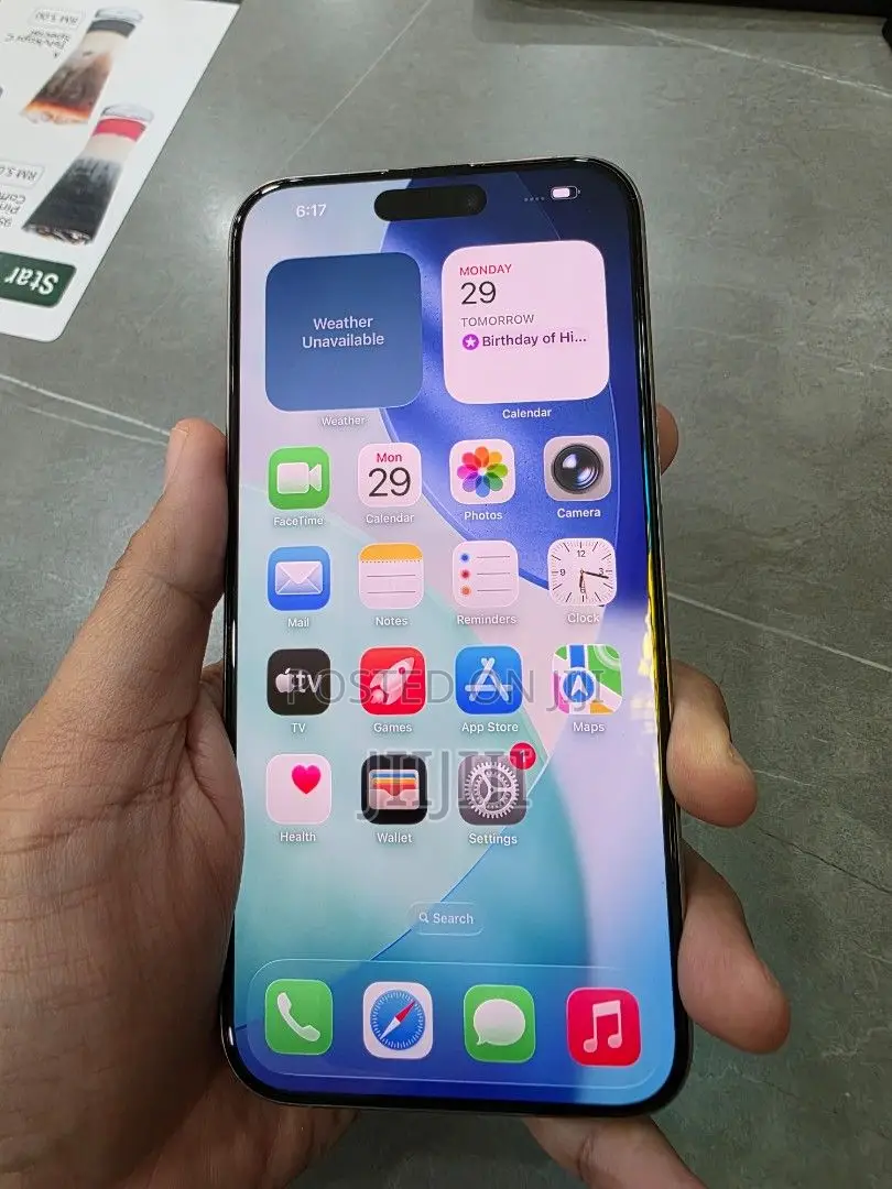 Apple iPhone 15 Pro Max 256 GB Silver