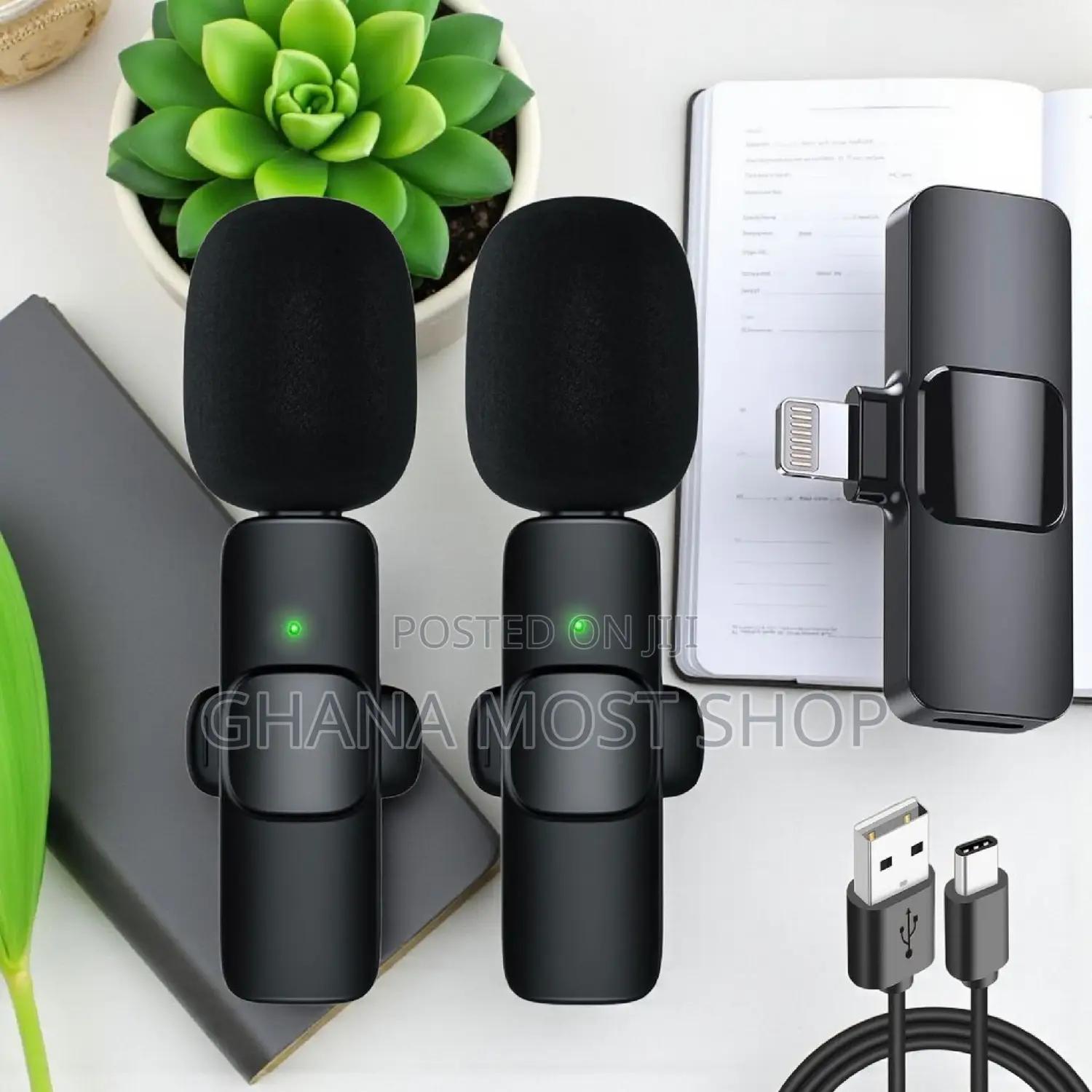 2 in 1 Wireless Microphone (55667)