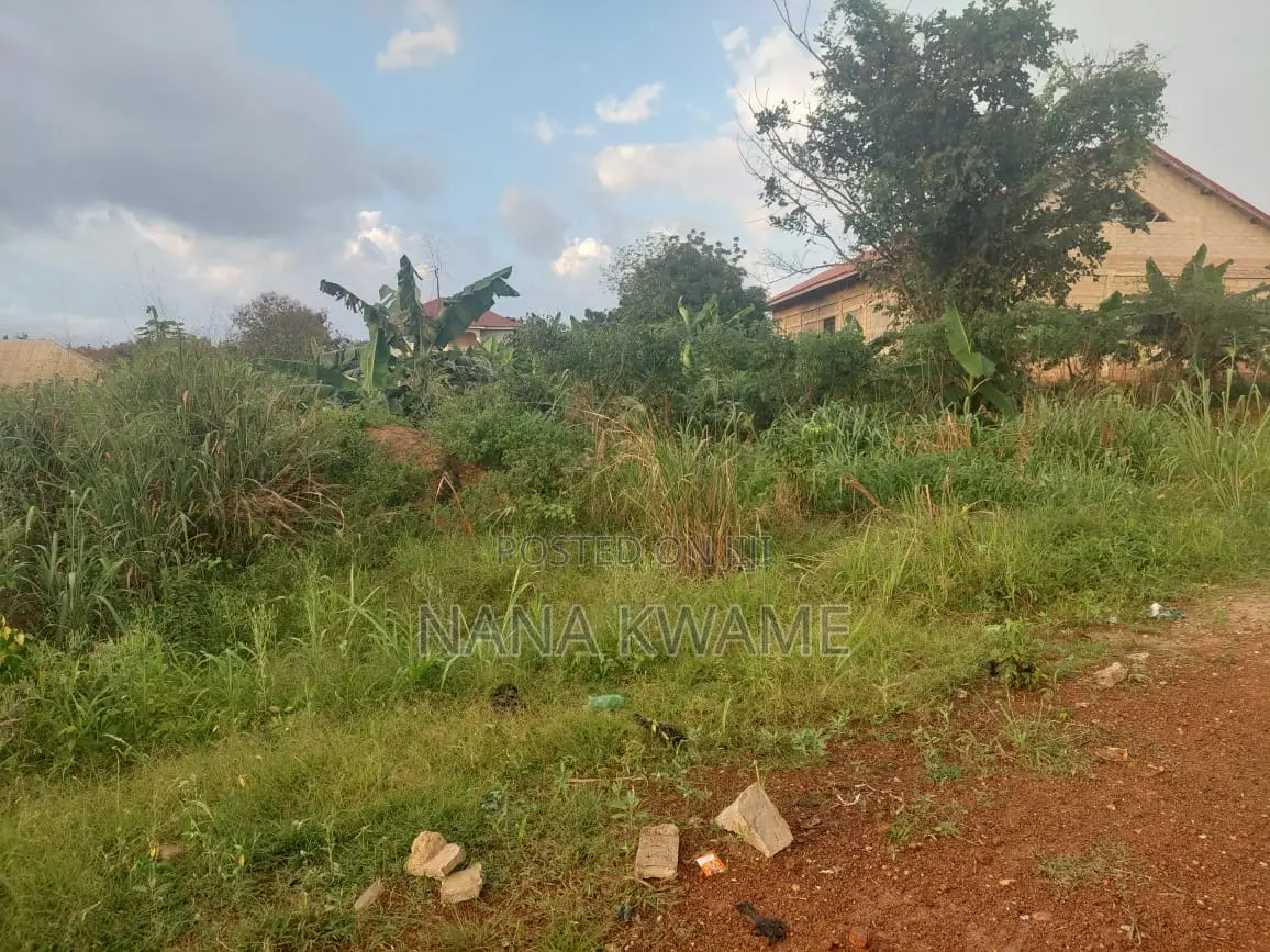 Good Land With Good Location