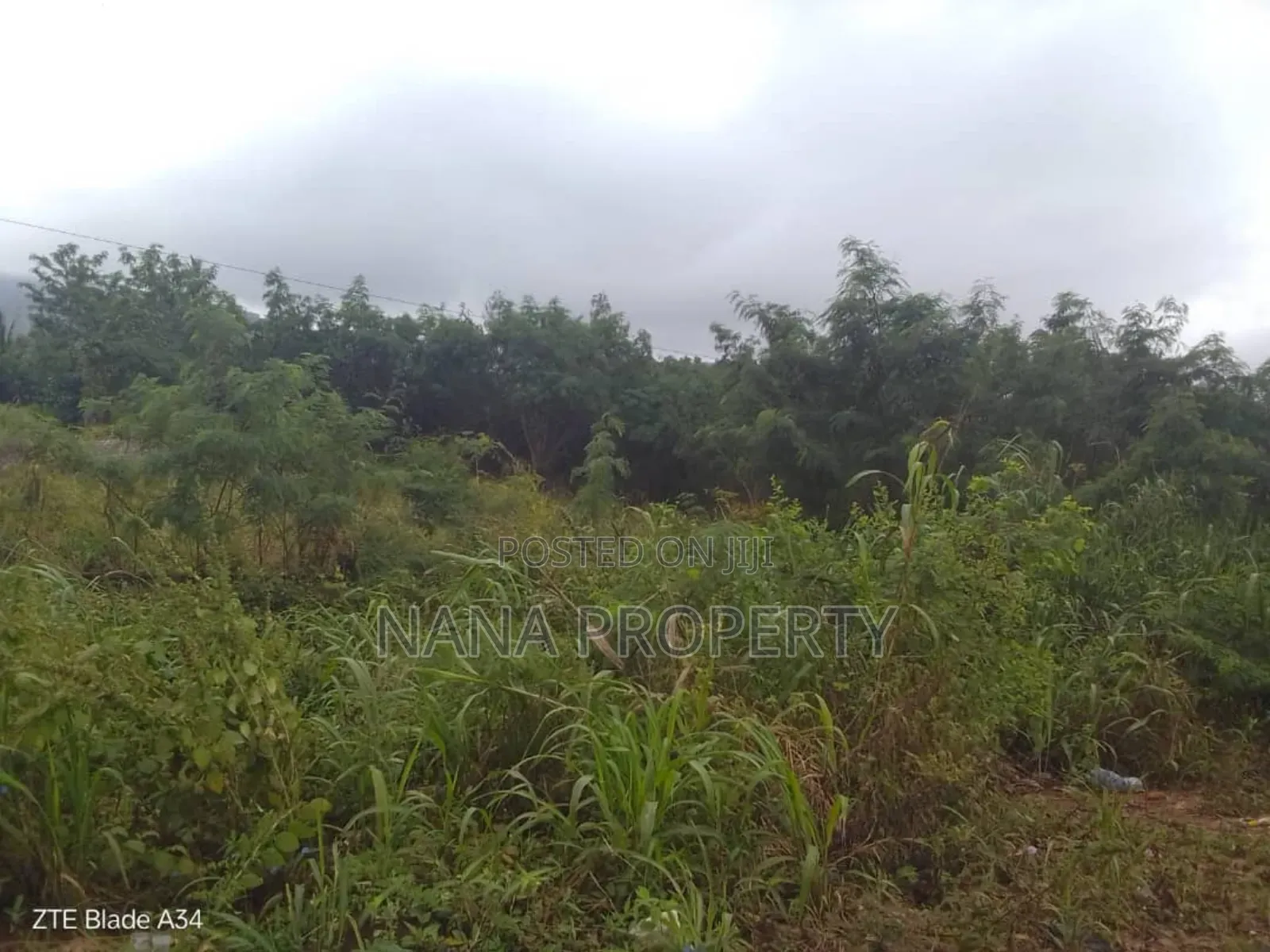 150 Acre's of Land for Sale Located at Oyibi Dowdowa Road