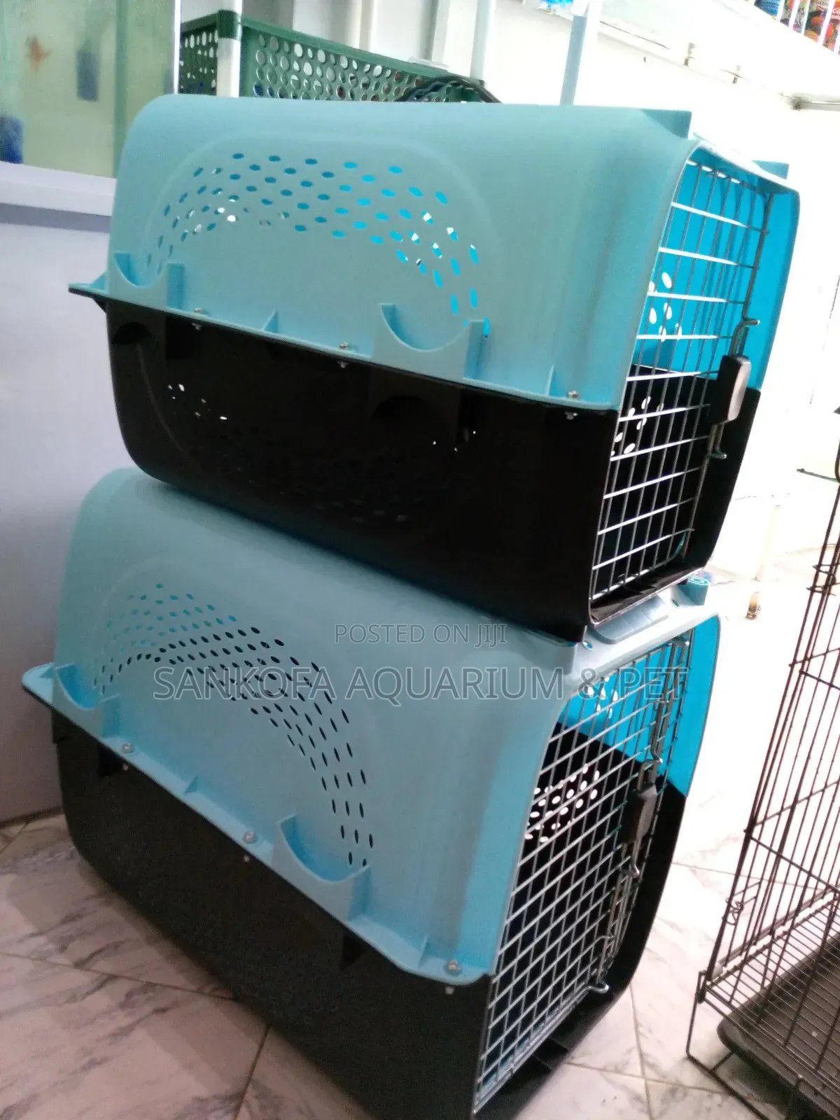 Quality Large Plastic Dog