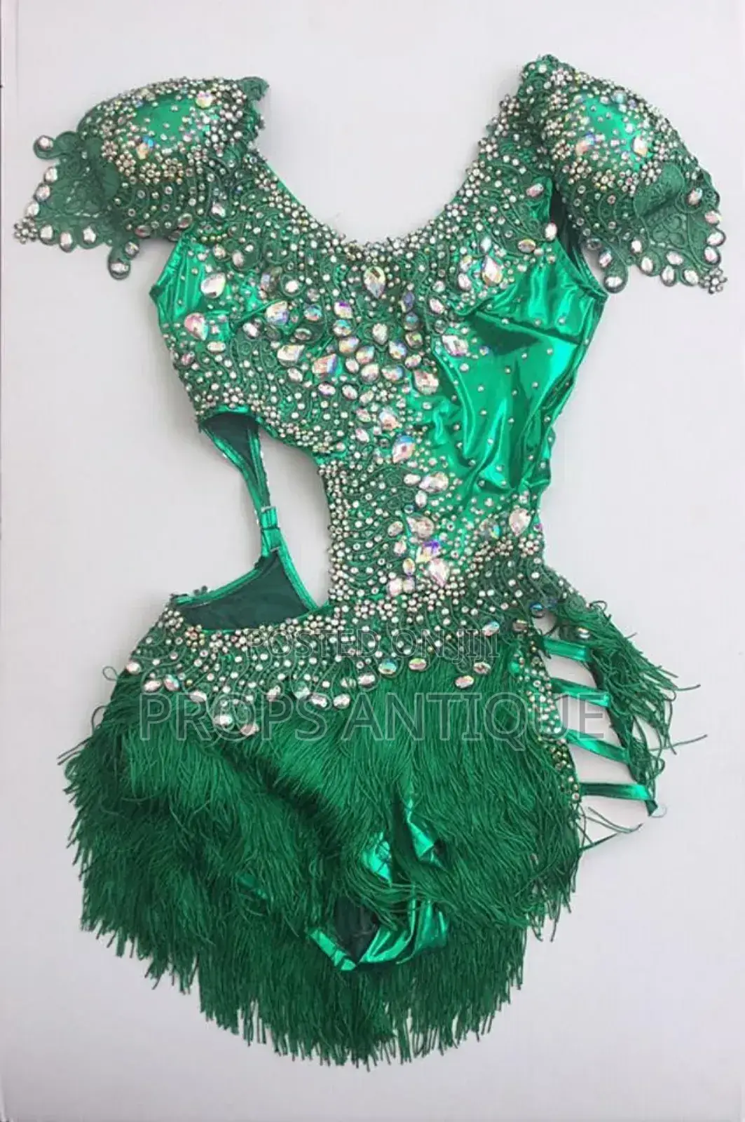 Carnival Bikini Costumes