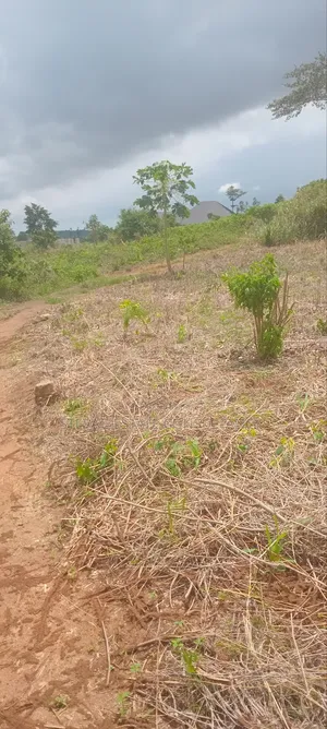 Land for Sale at Amasaman ASHIFLA Akutiaku