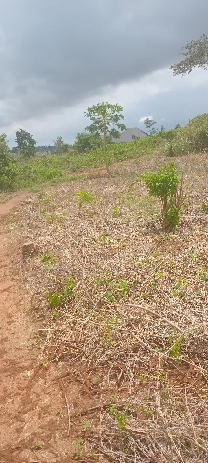 Land for Sale at Amasaman ASHIFLA Akutiaku