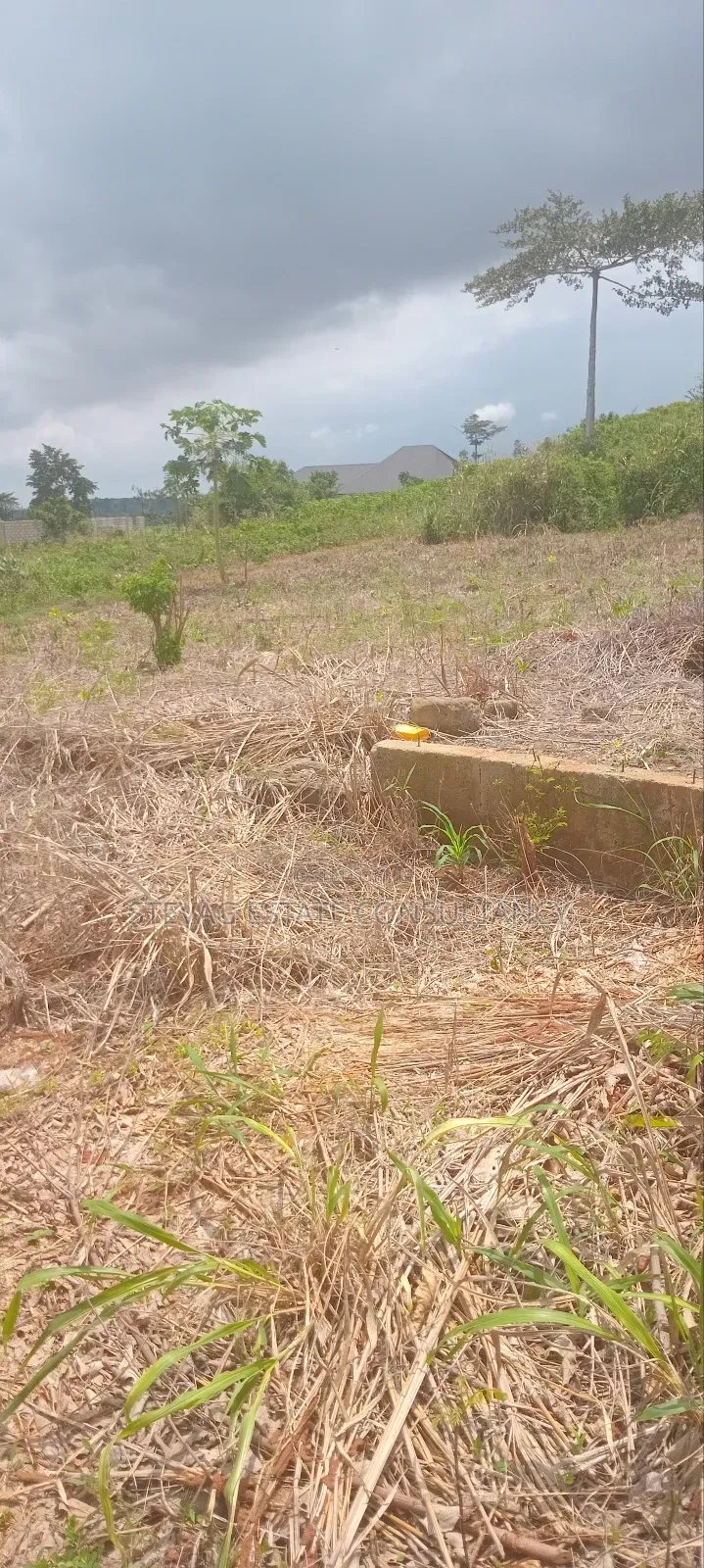 Land for Sale at Amasaman ASHIFLA Akutiaku